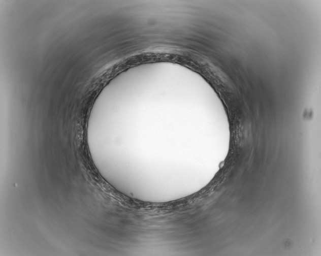 X0000093090821200710241159