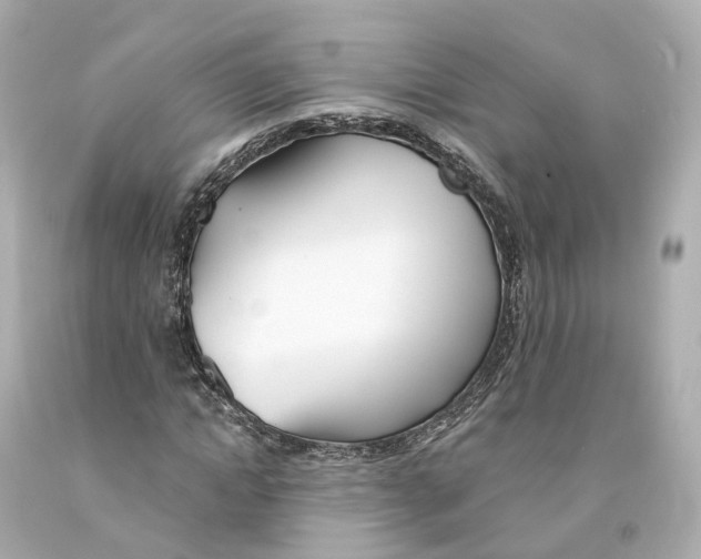 X0000093090822200710241159