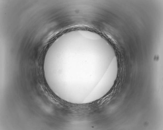 X0000093090824200710241159