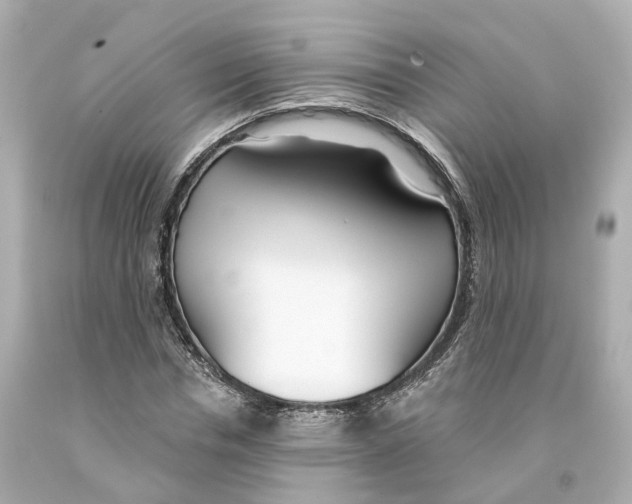 X0000093090826200710241159