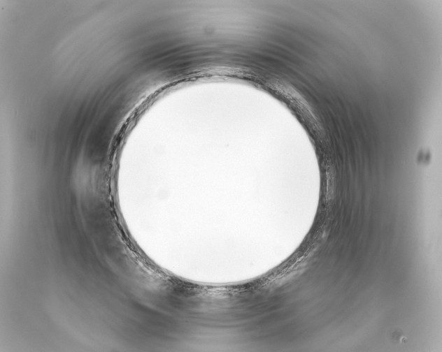 X0000093090828200710241159