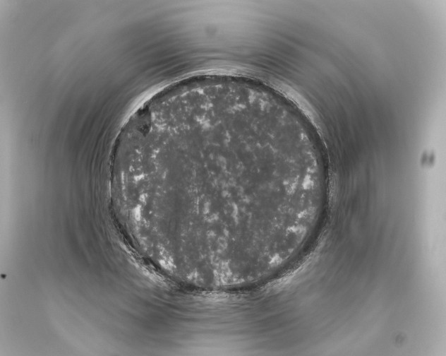 X0000093090829200710241159