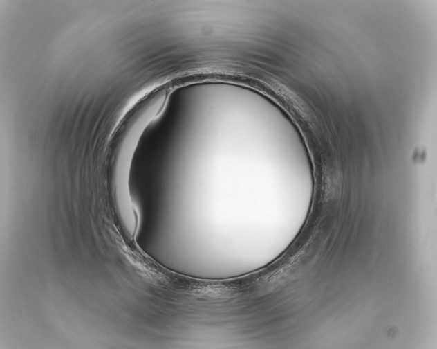 X0000093090830200710241159