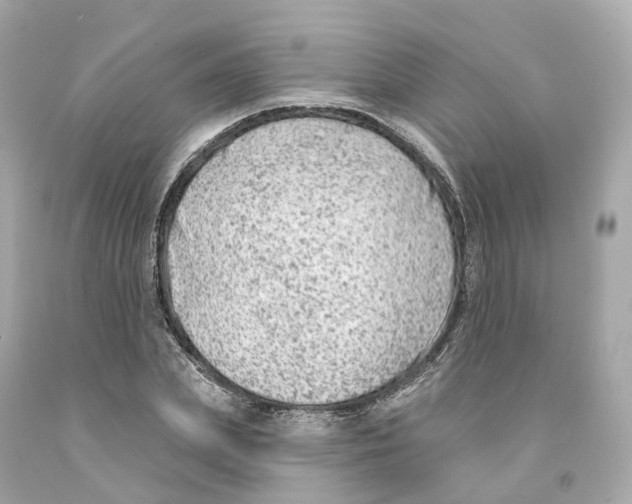 X0000093090831200710241159