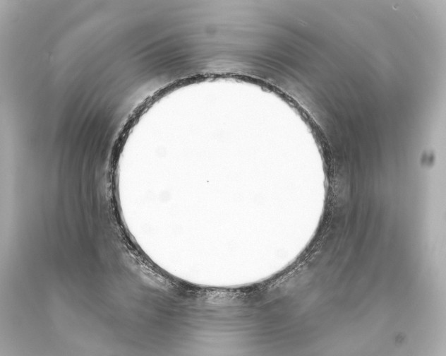 X0000093090832200710241159