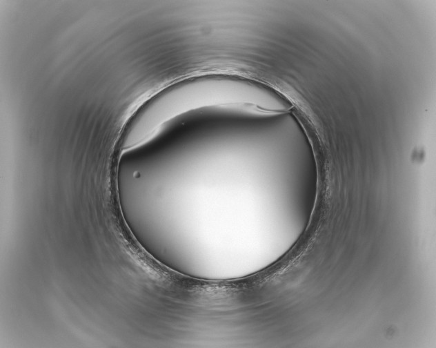 X0000093090834200710241159