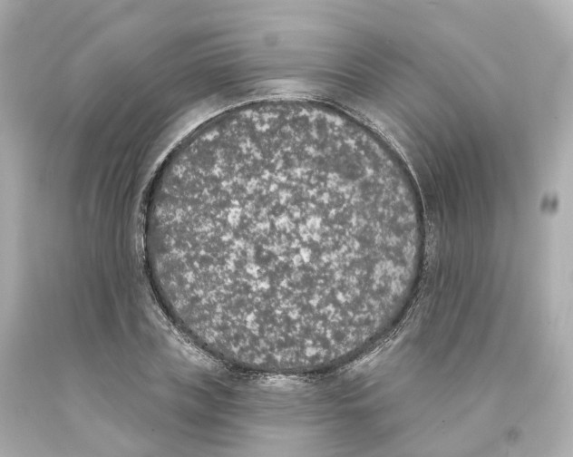 X0000093090835200710241159