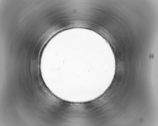 X0000093090836200710241159