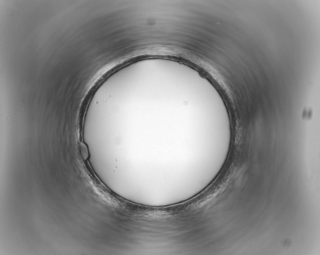 X0000093090837200710241159