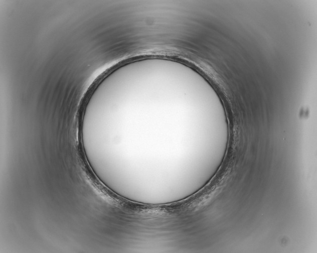 X0000093090838200710241159