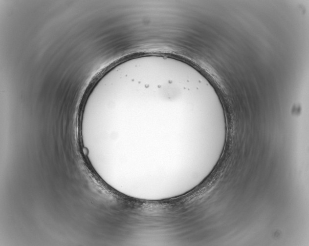 X0000093090840200710241159