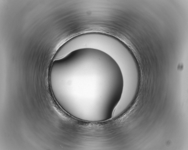 X0000093090842200710241159