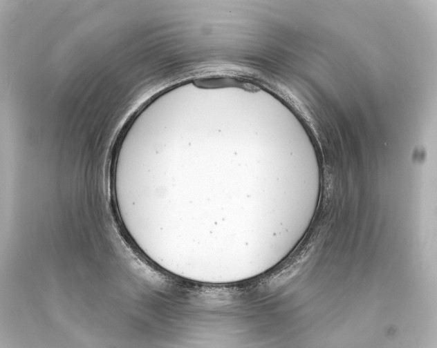 X0000093090843200710241159