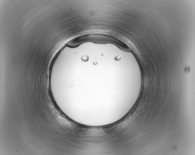 X0000093090844200710241159