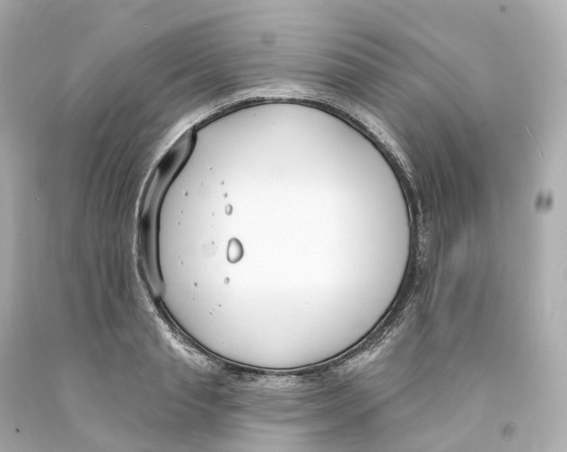 X0000093090845200710241159