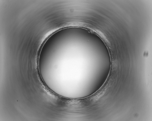 X0000093090846200710241159