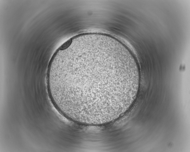 X0000093090847200710241159