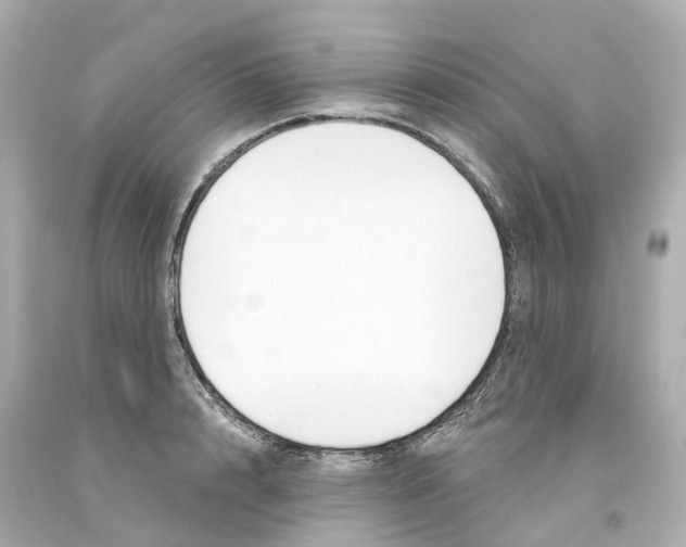 X0000093090848200710241159
