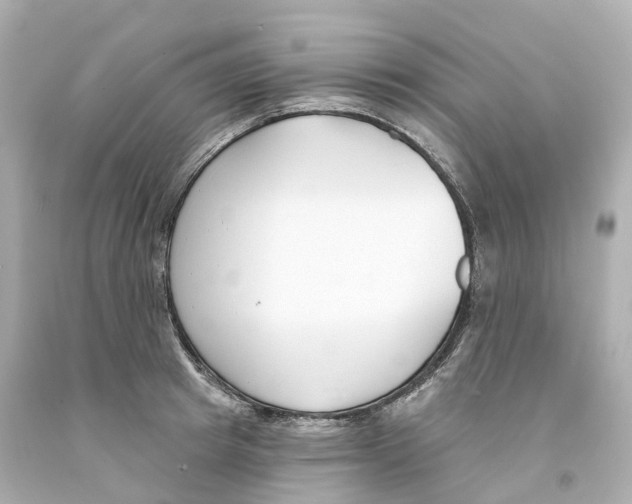 X0000093090849200710241159