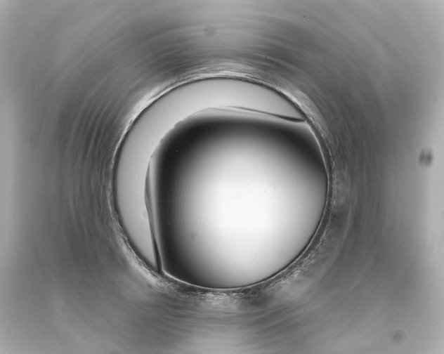 X0000093090850200710241159