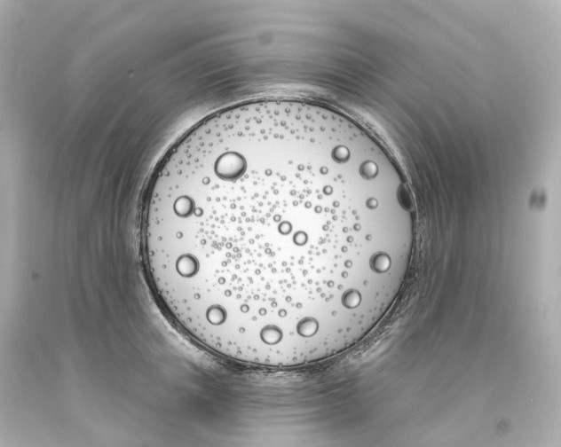 X0000093090851200710241159