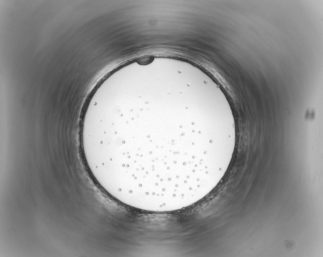 X0000093090853200710241159