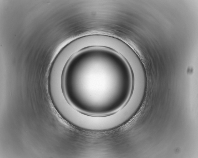 X0000093090854200710241159