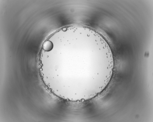 X0000093090856200710241159
