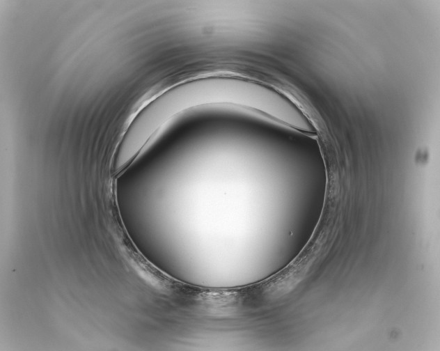 X0000093090858200710241159