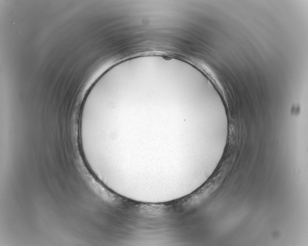 X0000093090859200710241159