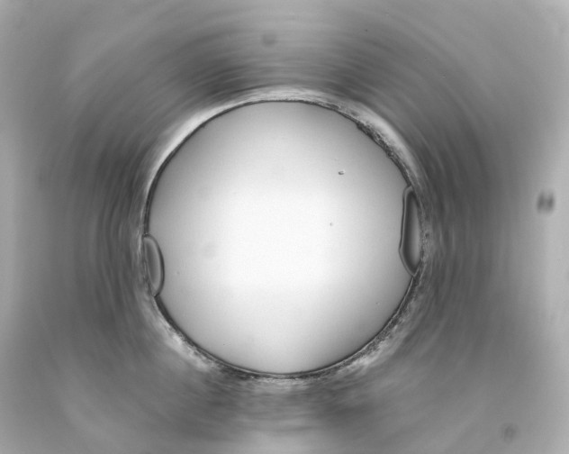 X0000093090860200710241159