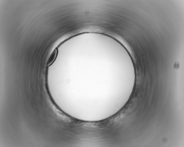 X0000093090861200710241159