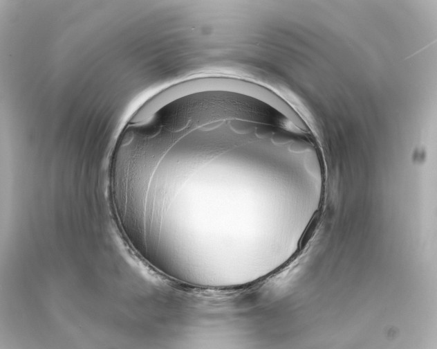 X0000093090862200710241159