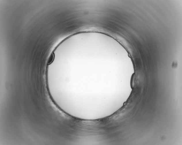 X0000093090863200710241159