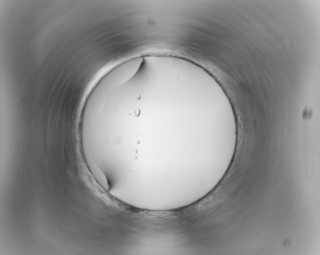 X0000093090864200710241159