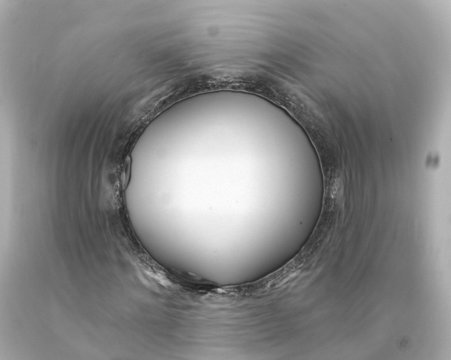X0000093090868200710241159