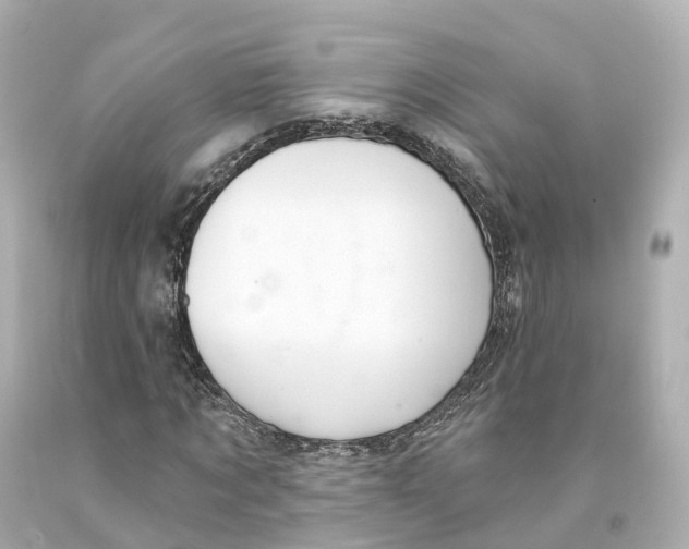 X0000093090869200710241159