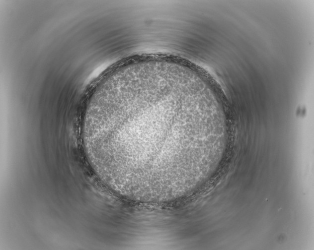 X0000093090871200710241159