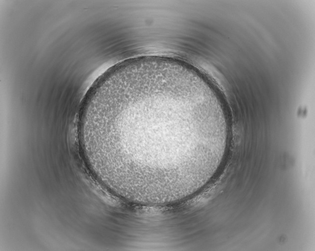 X0000093090875200710241159
