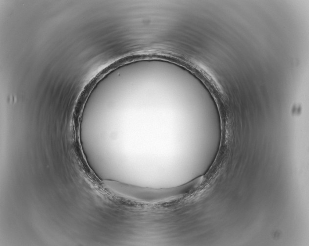 X0000093090876200710241158