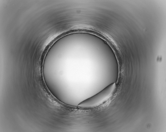 X0000093090877200710241158