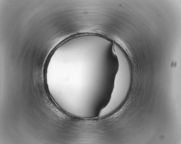 X0000093090884200710241158