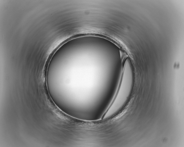 X0000093090885200710241158