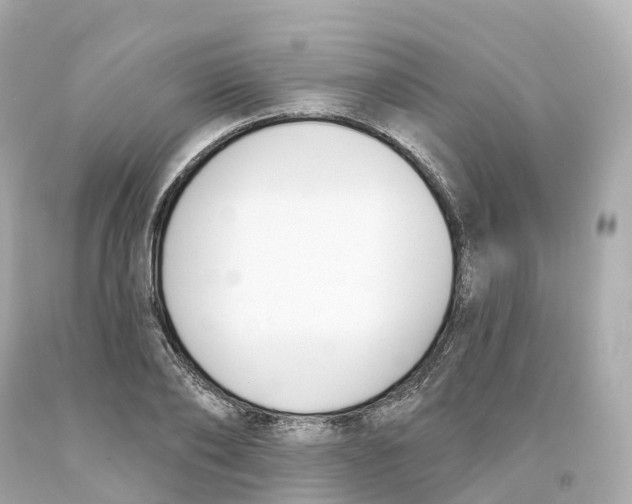 X0000093090886200710241158