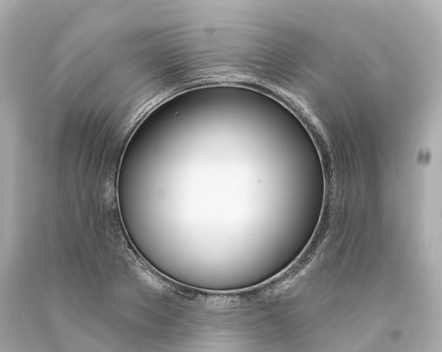X0000093090889200710241158