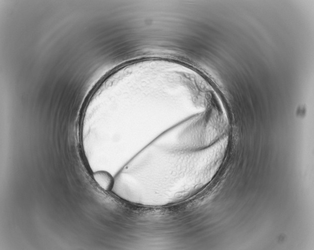 X0000093090891200710241158