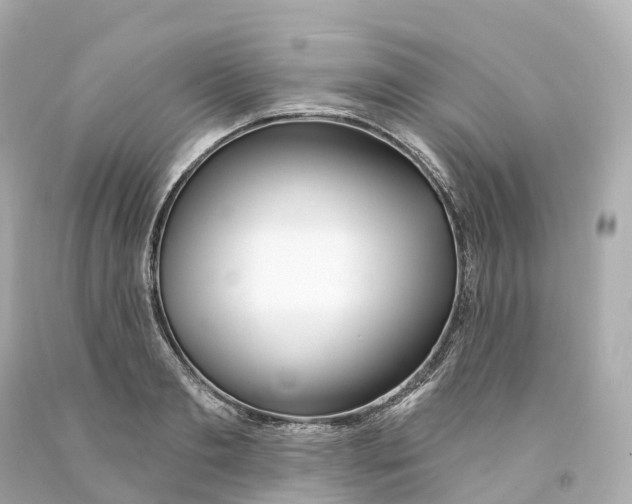 X0000093090893200710241158