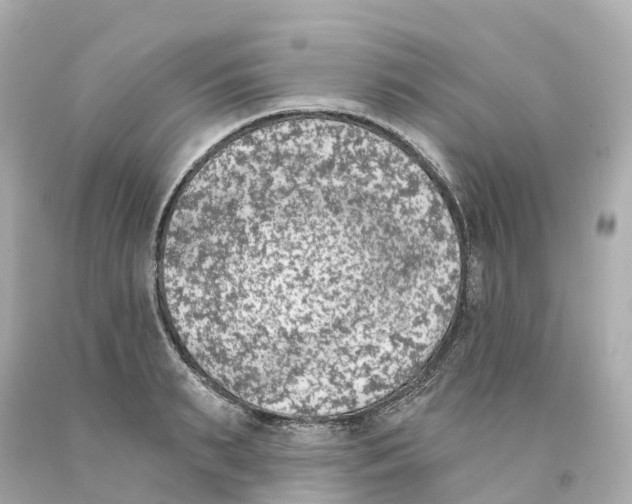 X0000093090895200710241158