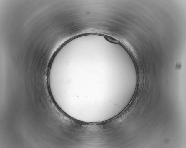 X0000093090896200710241158