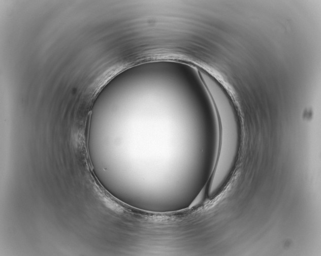 X0000093090897200710241158